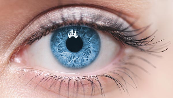 ophthalmology